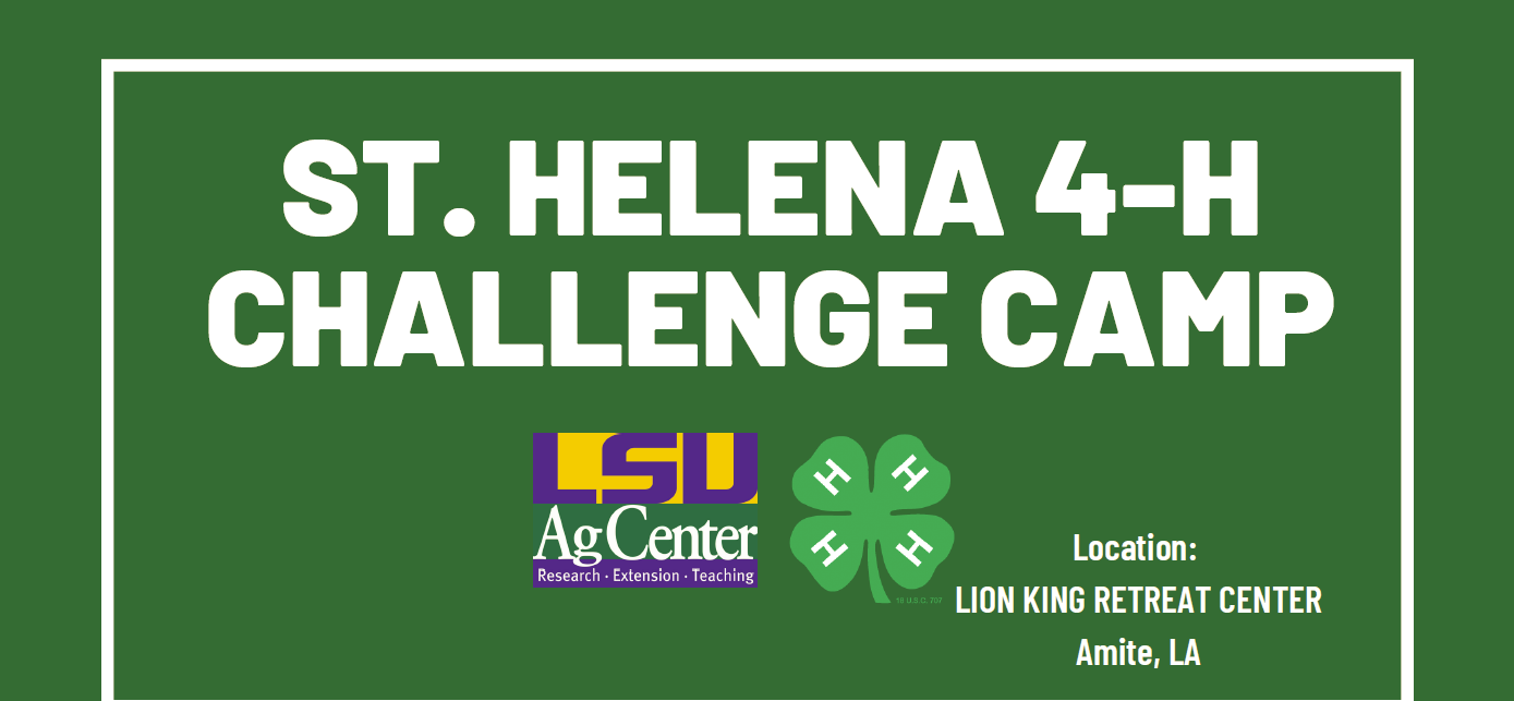 4-H Challenge Camp